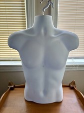 Male mannequin hollow for sale  Dansville