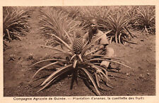 Cpa guinee compagnie d'occasion  Gennevilliers