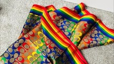 Coach rainbow pride for sale  Haverhill