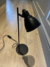 Cute small black for sale  EDINBURGH