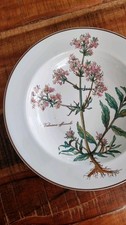 Villeroy boch suppenteller gebraucht kaufen  Ottobeuren