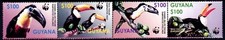 Guiana 2003 Toco Toucan - WWF Conjunto Completo Perfeito Estado Perfeito Tiras SC 3792 comprar usado  Enviando para Brazil