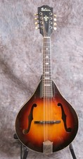 1937 gibson a50 for sale  Brandon
