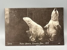 Polar bears groudle for sale  SALTBURN-BY-THE-SEA
