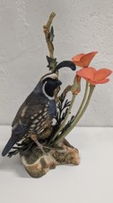 California quail california for sale  LEIGHTON BUZZARD