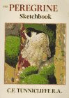 Peregrine sketchbook tunniclif for sale  ROSSENDALE