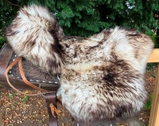 Lammfell sattelbezug sattelauf gebraucht kaufen  Balge