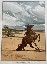 Antique 1888 color for sale  Owego