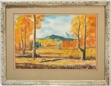 Vintage western mountains for sale  Orlando