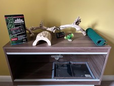 Vivexotic wooden snake for sale  GUILDFORD