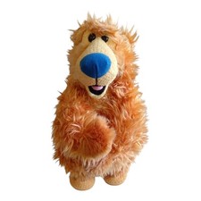 Orso bear the usato  Roma