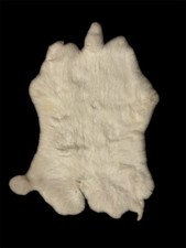 White rabbit skin for sale  Rochester
