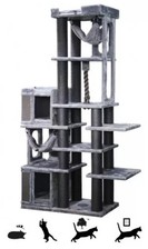 Large tower cat for sale  HAYWARDS HEATH