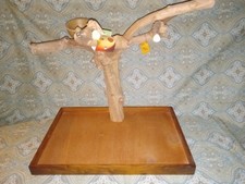 Prevue coffeawood tree for sale  Douglasville
