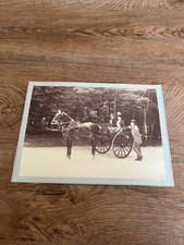 Photo ancienne attelage d'occasion  Saint-Jean-en-Royans