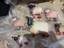 Ewe sheep toni for sale  BRISTOL