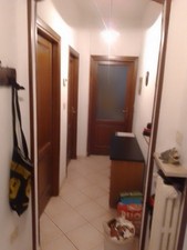 Affitti appartamento affitto usato  Carpineti