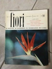 1960 lotto riviste usato 1960 lotto riviste usato  San Cesareo