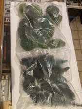 Konvolut nadelbäume blühend gebraucht kaufen Konvolut nadelbäume blühend gebraucht kaufen  Schwelm