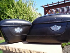 Harley davidson 100th for sale  Mountain Lakes