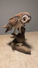 Barn owl resin for sale  Long Beach