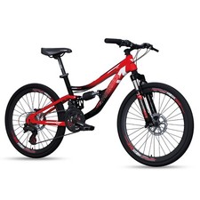 Bicicletta biammortizzata camb usato  San Severo