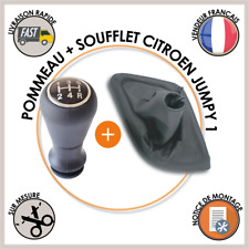 Pommeau soufflet levier d'occasion  Senlis