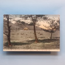 Nagasaki postcard c1920 for sale  TELFORD