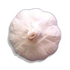 fresh garlic for sale fresh garlic for sale Moriarty