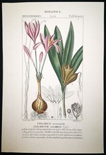 1831 turpin originale usato  Urbino