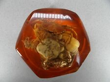 Vintage lucite sea for sale  WELLINGBOROUGH