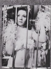 Diana rigg film gebraucht kaufen  Barsinghausen