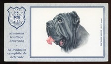 Neapolitan mastiff italian for sale  UK