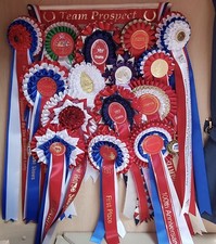 Personalised rosette holder for sale  WORCESTER