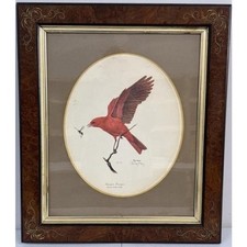 Signed ray harm for sale  Wilmore