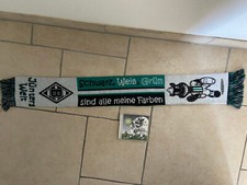 Riginal fan schal gebraucht kaufen  Deutschland