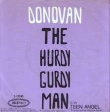 Donovan the hurdy usato  Milano