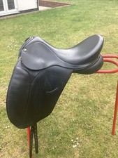 Ideal black dressage for sale  LEIGH-ON-SEA