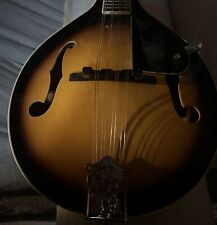 Rogue 100a mandolin for sale  Murrieta