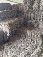 2024 hay bales for sale  LINCOLN