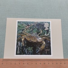Vintage postcard sea for sale  DROMORE