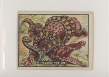 1950 topps bring for sale  Auburn
