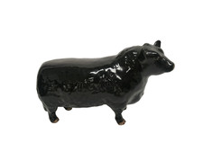 angus cattle for sale angus cattle for sale EDINBURGH
