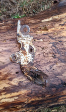 Oem 1992 honda for sale  Shelton
