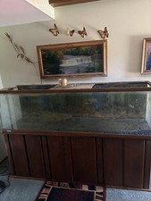 125 gallon glass for sale  Saint Louis