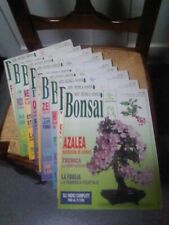 Bonsai arte tecnica usato  Bologna