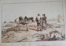 Campagna roma disegno usato  Viterbo