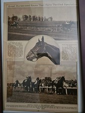 Horse Racing for sale Horse Racing for sale Concord