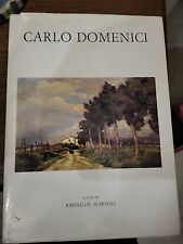Carlo domenici libro usato  Italia