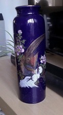 chinese pheasant for sale chinese pheasant for sale LISKEARD